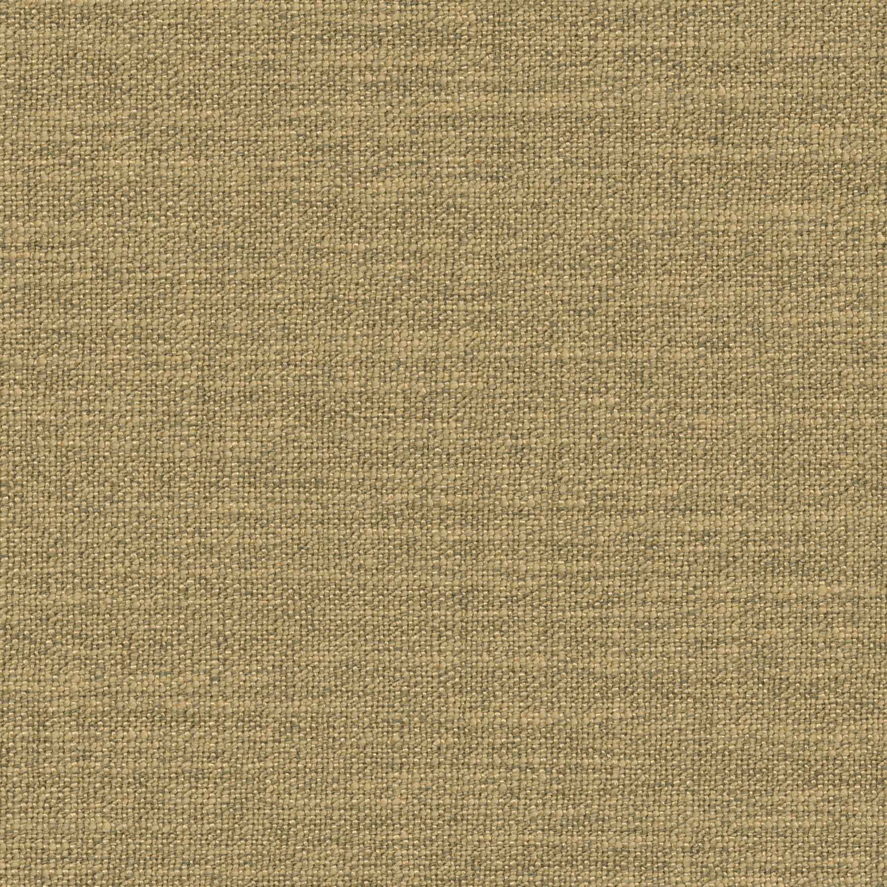 Toulouse 0662 Curtains