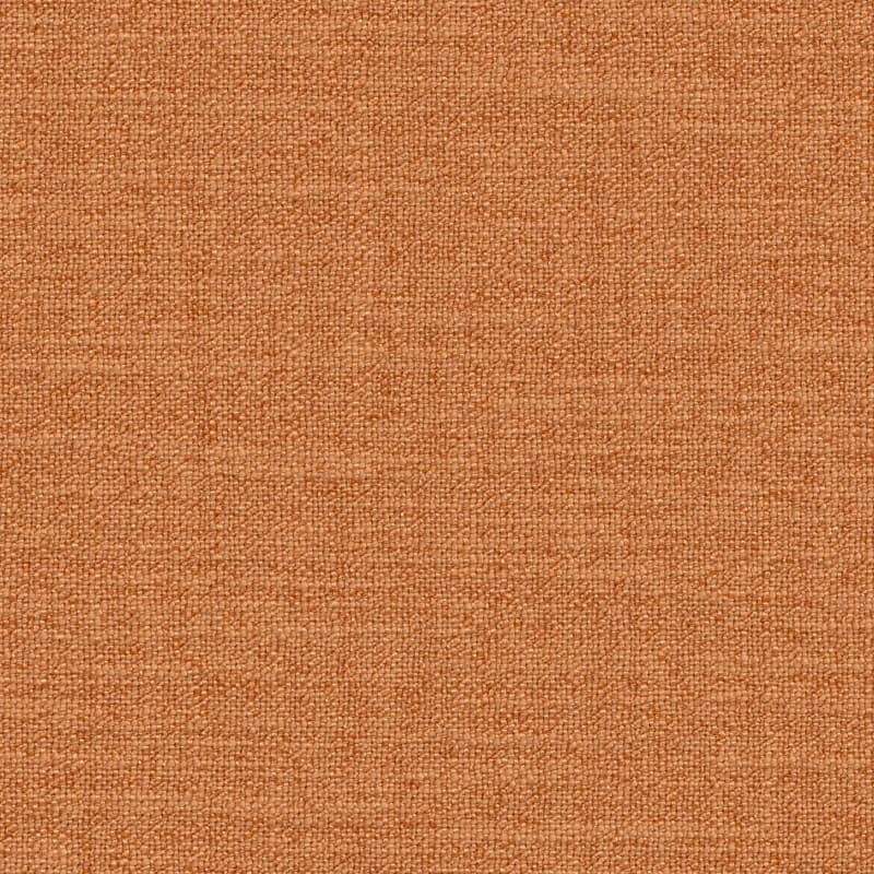 Toulouse 0665 Curtains