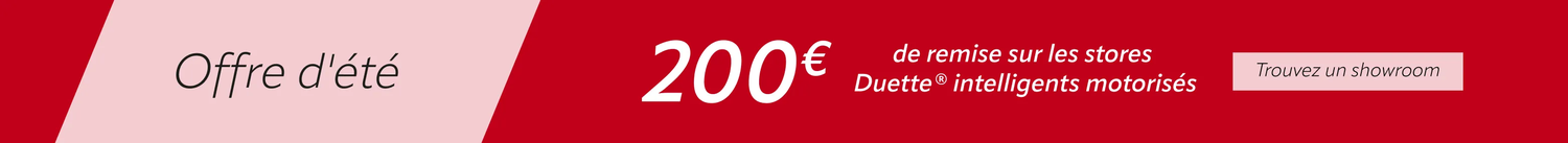 Summer promo BEFR DS