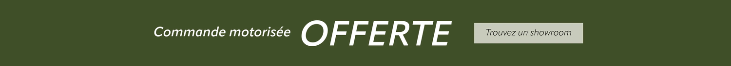 BEFR autumn CTA
