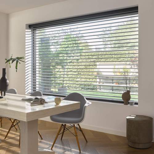 Silhouette® ClearView™ Shades