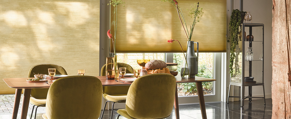 Raamdecoratie woonkamer Duette® Shades