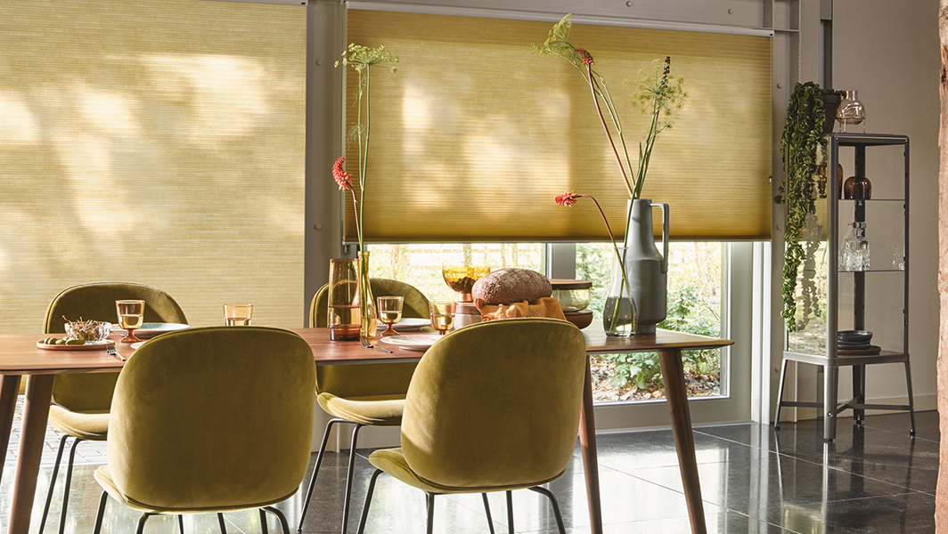 Raamdecoratie woonkamer Duette® Shades